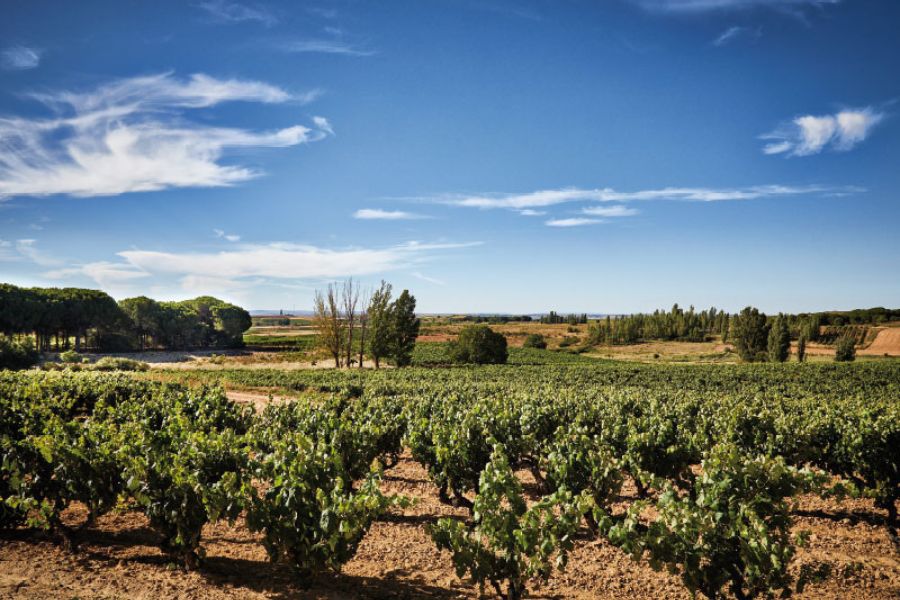 bodegas Valderiz