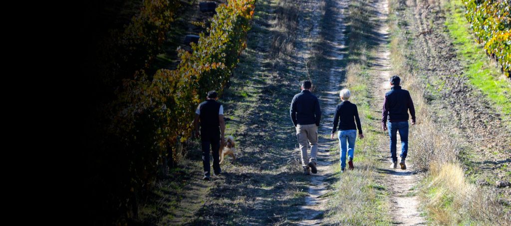 bodega-marta-mate-comprar-vino-ribera-duero