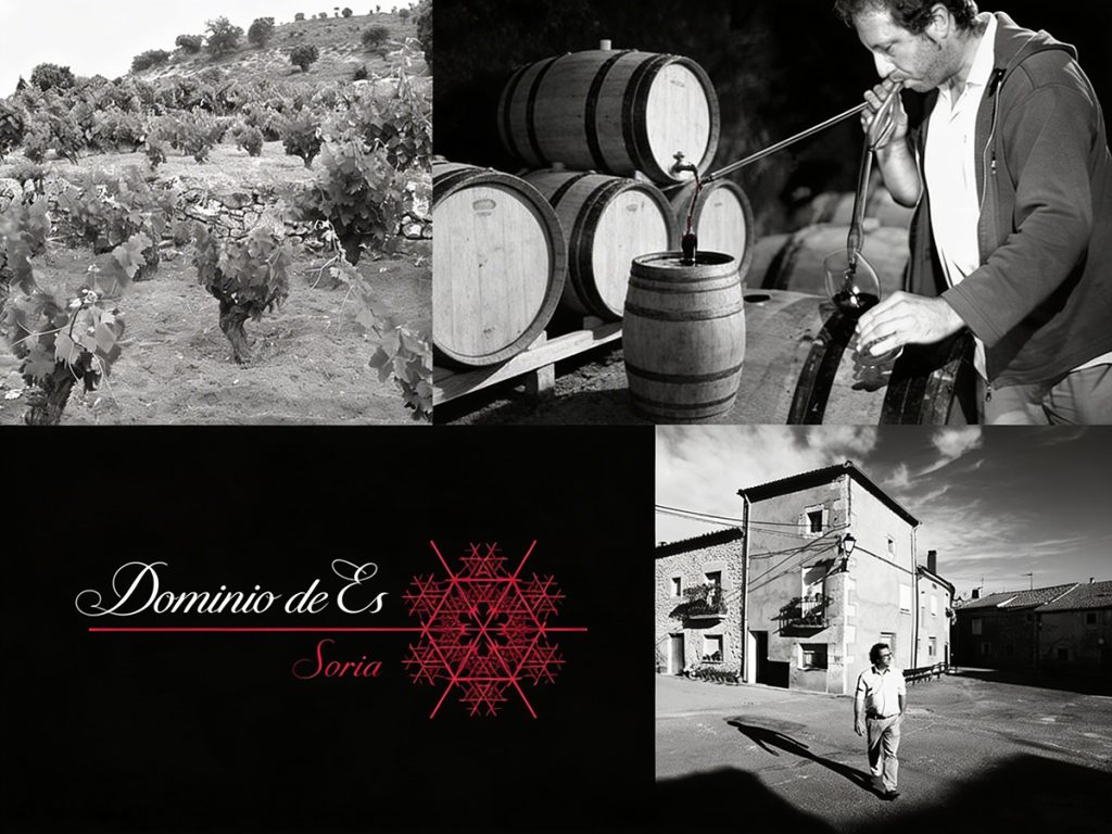 vinos-dominio es bodega soria ribera comprar